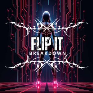 flip it (2)